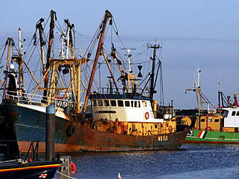 Fishermen 40 times more likely...